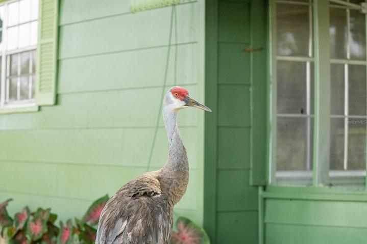1170