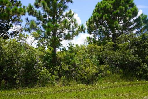 Welcome to 5313 Gillot Blvd - double lot in the boating community of Gulf Cove