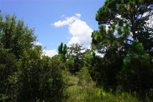 Gulf Cove waterfront community park