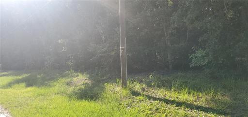 Fence line is near telephone pole
