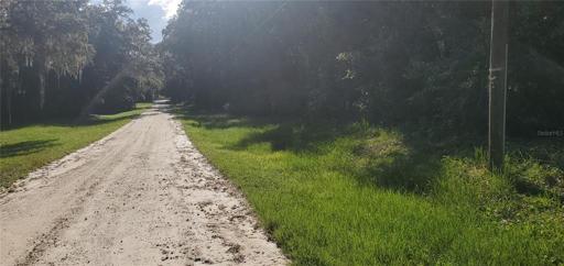Road View