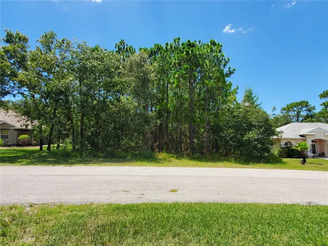 Front of the lot