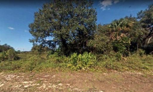 Front of Land Lot (Satellite Pic)