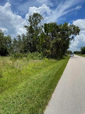 Beautiful Land in Punta Gorda