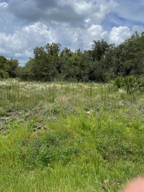 Beautiful Land in Punta Gorda