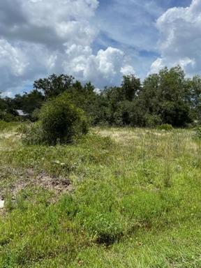 Beautiful Land in Punta Gorda