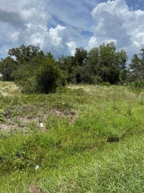 Beautiful Land in Punta Gorda