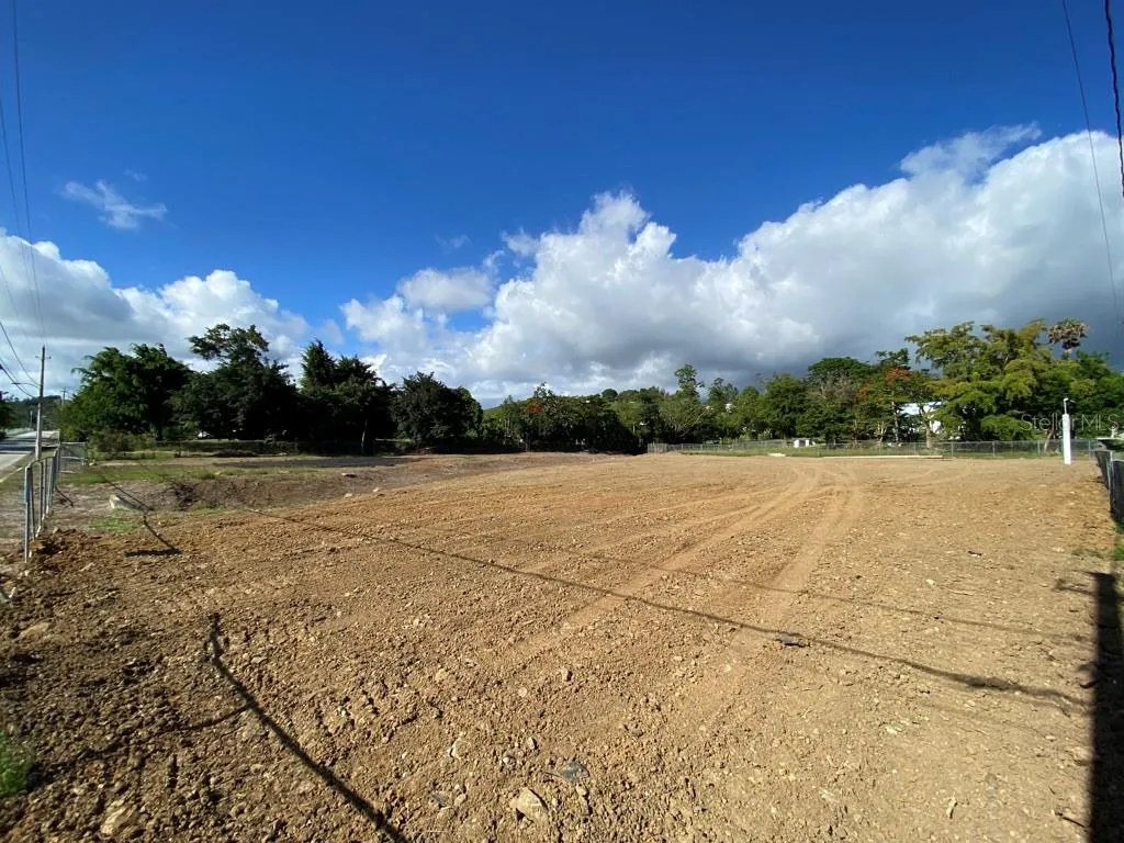 Cayey, Puerto Rico 00736, 0 , 0 ,0,Land,For Sale,CALLE HUCAR,0,PR9096716