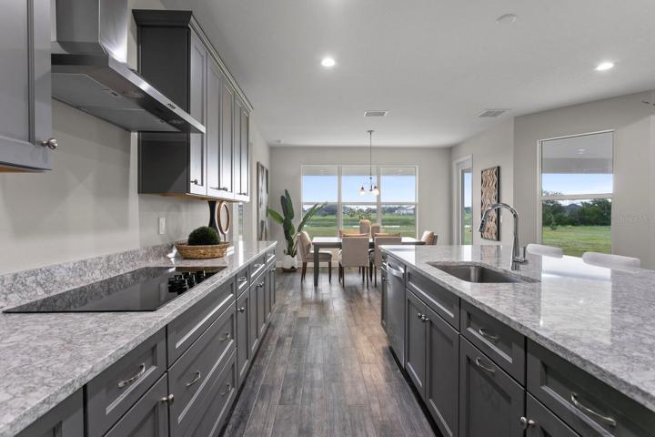 Gourmet Kitchen with Cooktop and Range Hood
