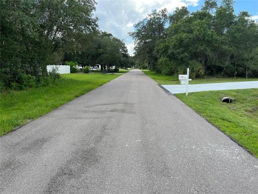 View looking north on Cazenovia St in south of the lot