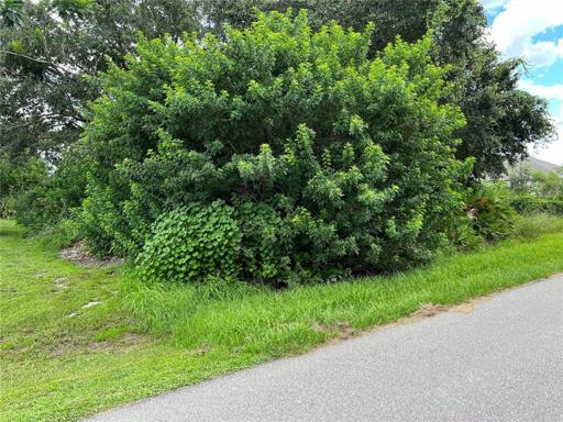 Street view of the lot