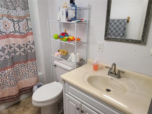 Main Bathroom Tub and shower combo