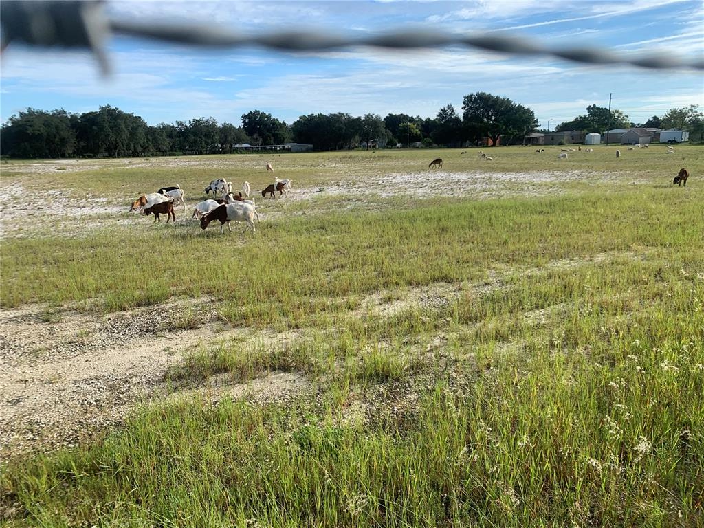 North 10 Acres +or-