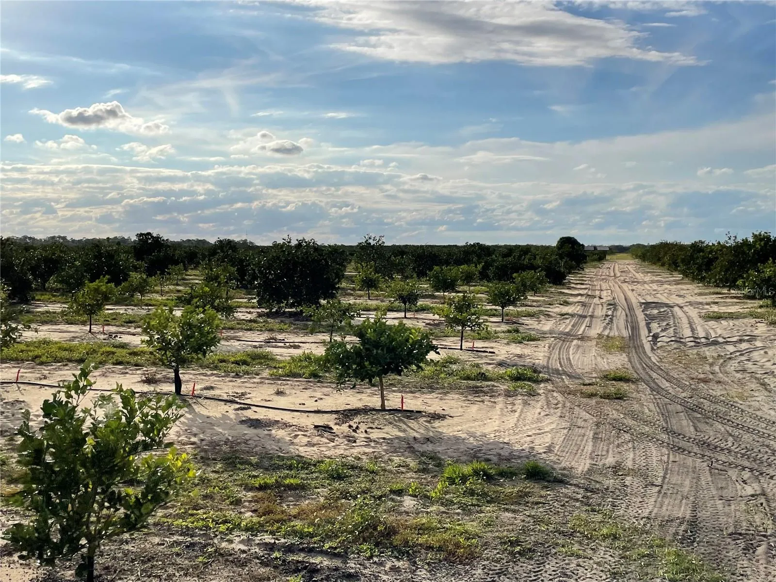 Frostproof, Florida 33843, 0 , 0 ,0,Land,For Sale,LAWRENCE STEWART,0,K4901875