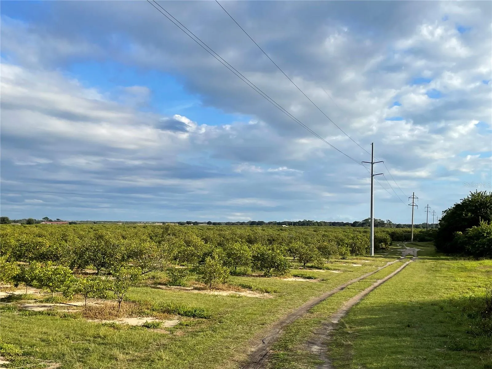Frostproof, Florida 33843, 0 , 0 ,0,Land,For Sale,LAWRENCE STEWART,0,K4901875