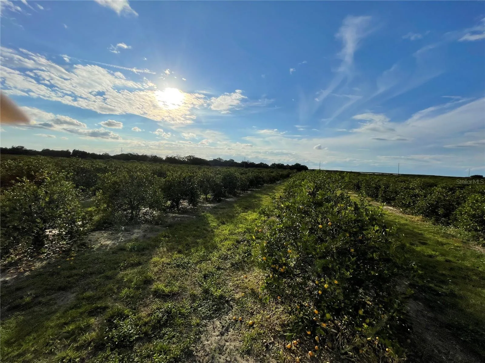 Frostproof, Florida 33843, 0 , 0 ,0,Land,For Sale,LAWRENCE STEWART,0,K4901875