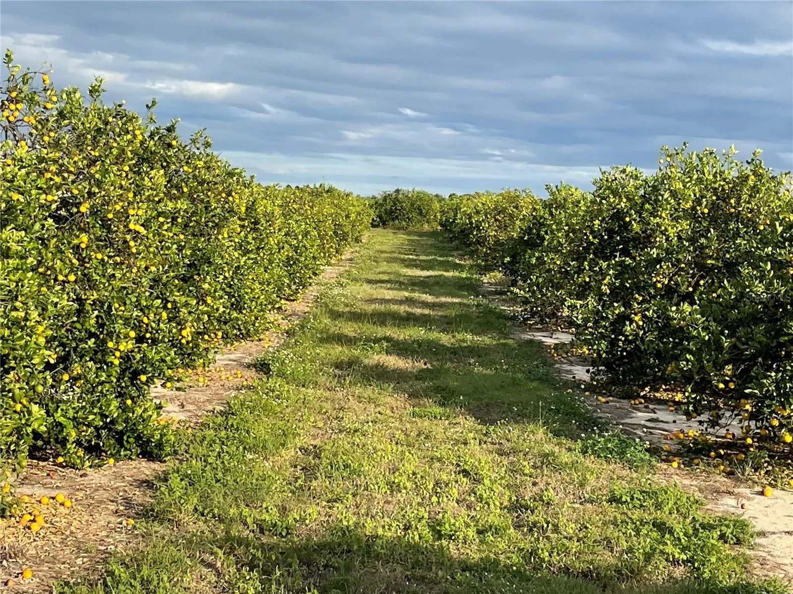 Frostproof, Florida 33843, 0 , 0 ,0,Land,For Sale,LAWRENCE STEWART,0,K4901875