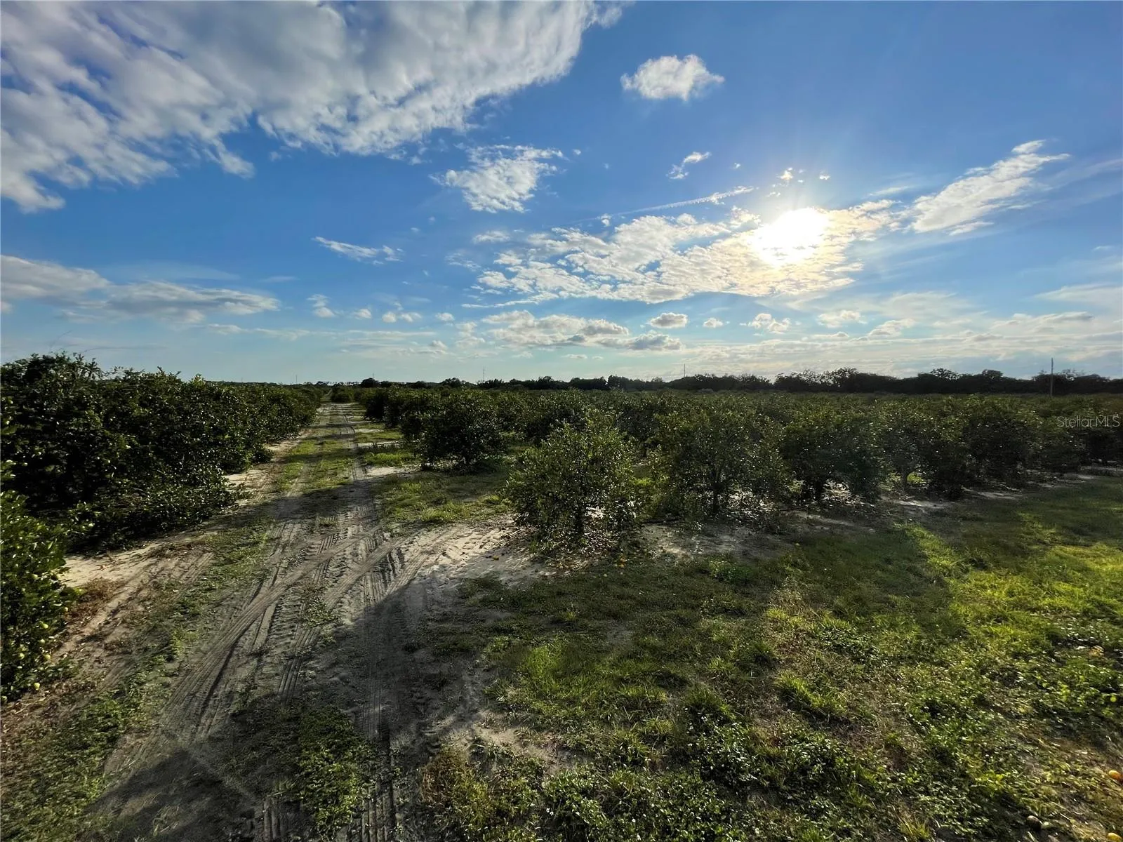 Frostproof, Florida 33843, 0 , 0 ,0,Land,For Sale,LAWRENCE STEWART,0,K4901875