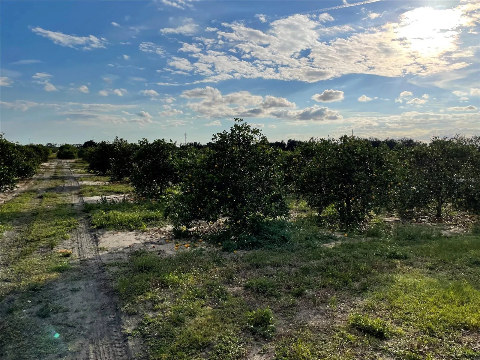Frostproof, Florida 33843, 0 , 0 ,0,Land,For Sale,LAWRENCE STEWART,0,K4901875