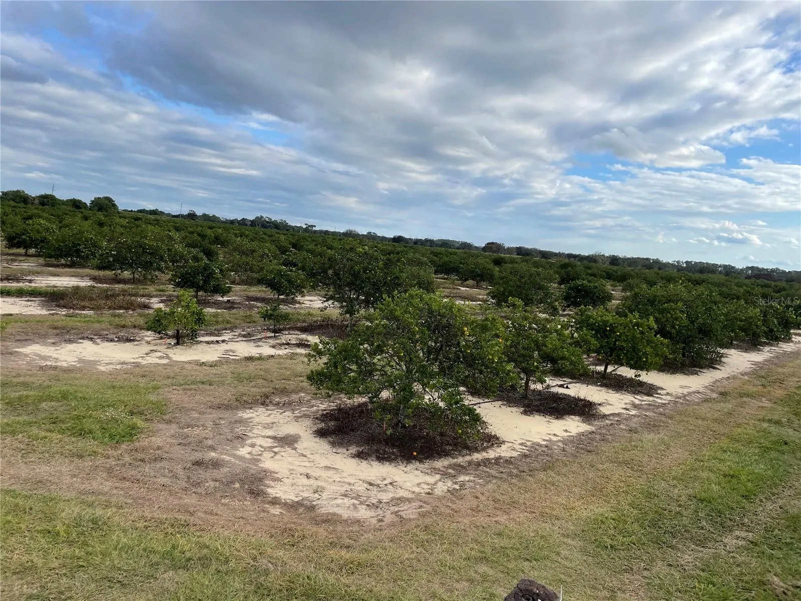 Frostproof, Florida 33843, 0 , 0 ,0,Land,For Sale,LAWRENCE STEWART,0,K4901875