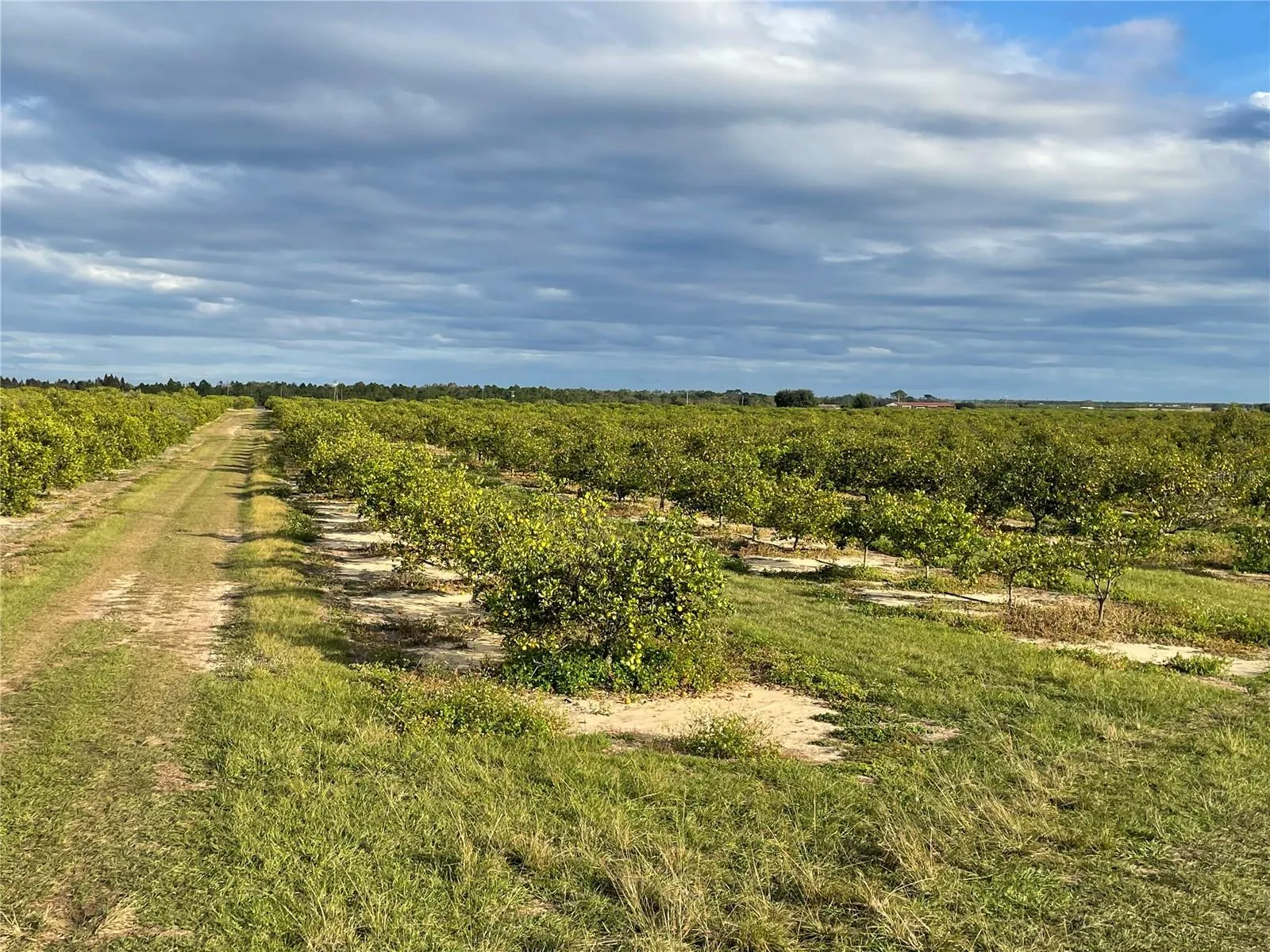 Frostproof, Florida 33843, 0 , 0 ,0,Land,For Sale,LAWRENCE STEWART,0,K4901875