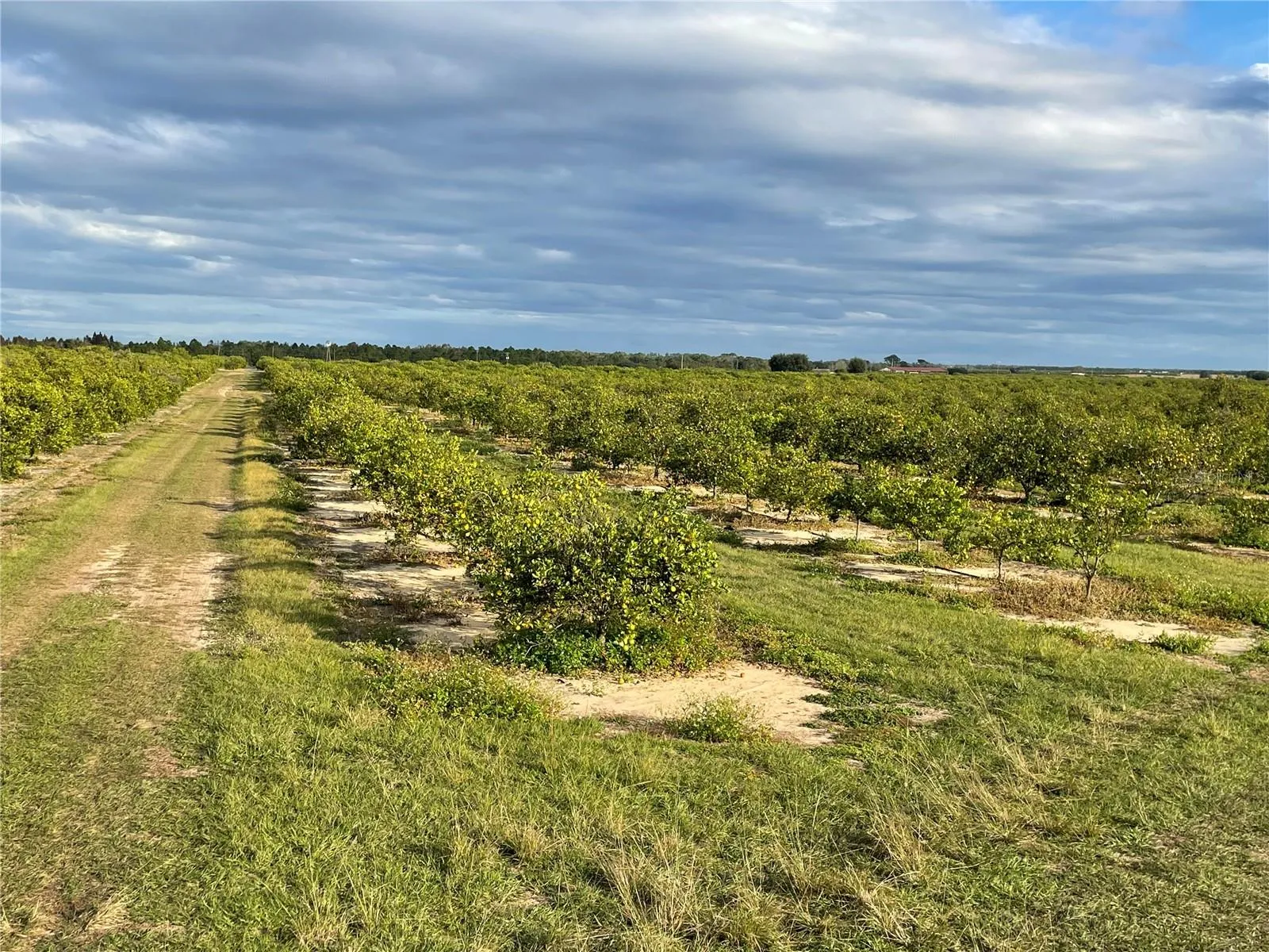 Frostproof, Florida 33843, 0 , 0 ,0,Land,For Sale,LAWRENCE STEWART,0,K4901875