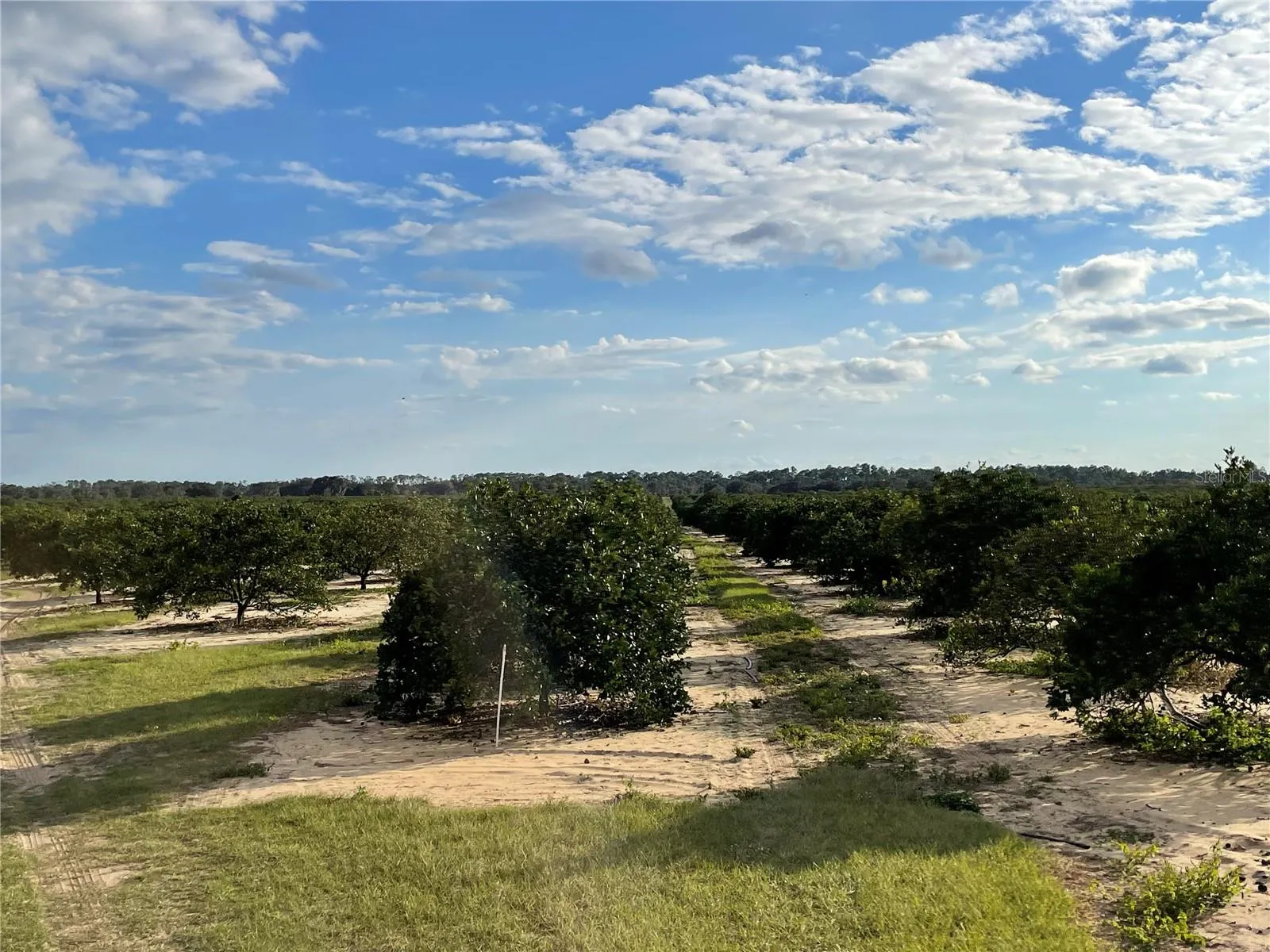 Frostproof, Florida 33843, 0 , 0 ,0,Land,For Sale,LAWRENCE STEWART,0,K4901875