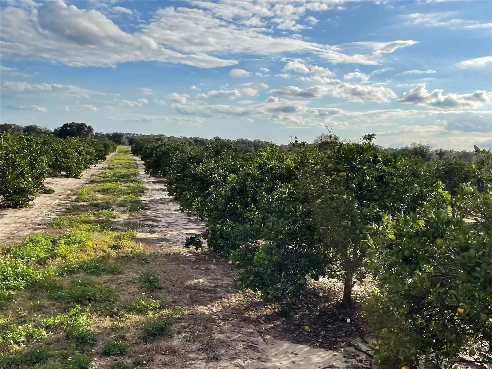 Frostproof, Florida 33843, 0 , 0 ,0,Land,For Sale,LAWRENCE STEWART,0,K4901875