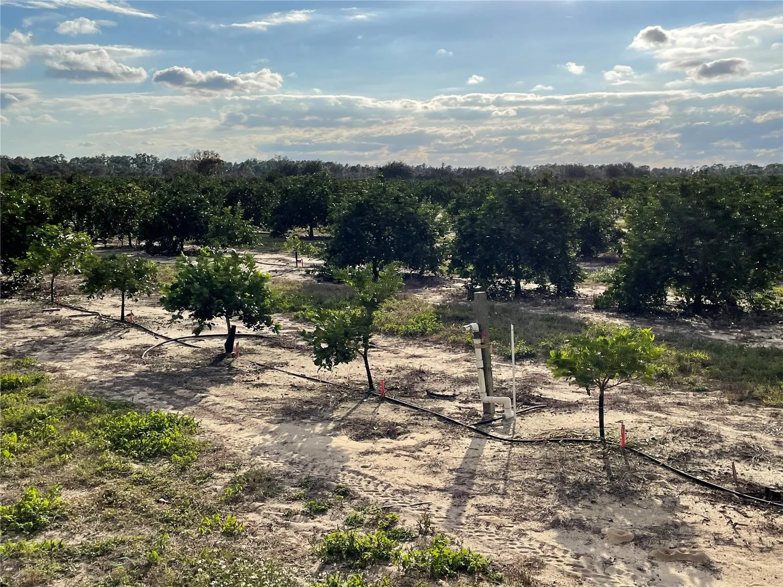 Frostproof, Florida 33843, 0 , 0 ,0,Land,For Sale,LAWRENCE STEWART,0,K4901875