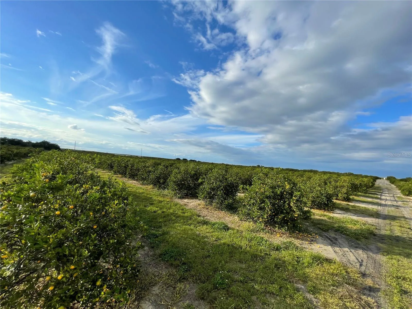 Frostproof, Florida 33843, 0 , 0 ,0,Land,For Sale,LAWRENCE STEWART,0,K4901875