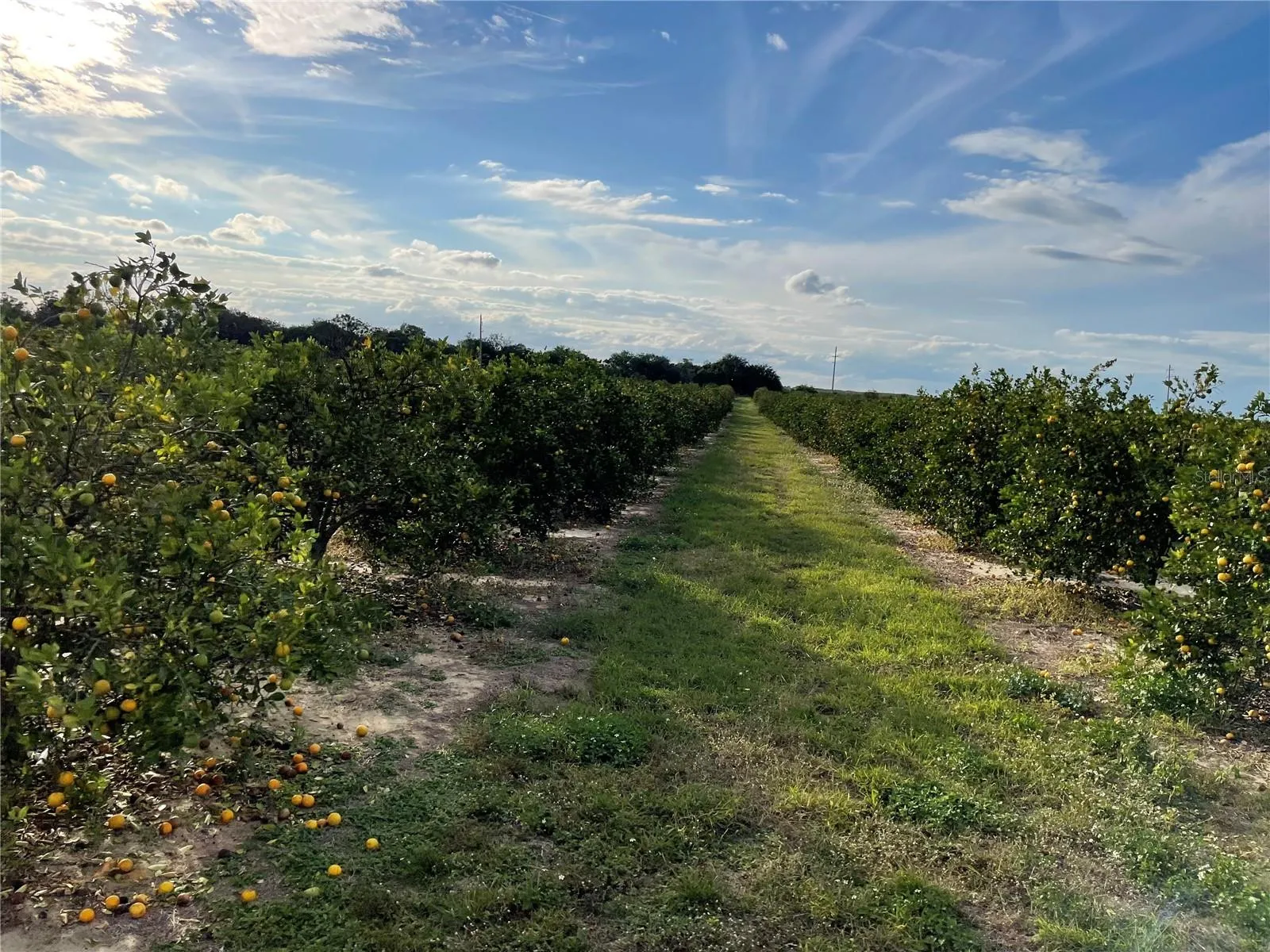 Frostproof, Florida 33843, 0 , 0 ,0,Land,For Sale,LAWRENCE STEWART,0,K4901875