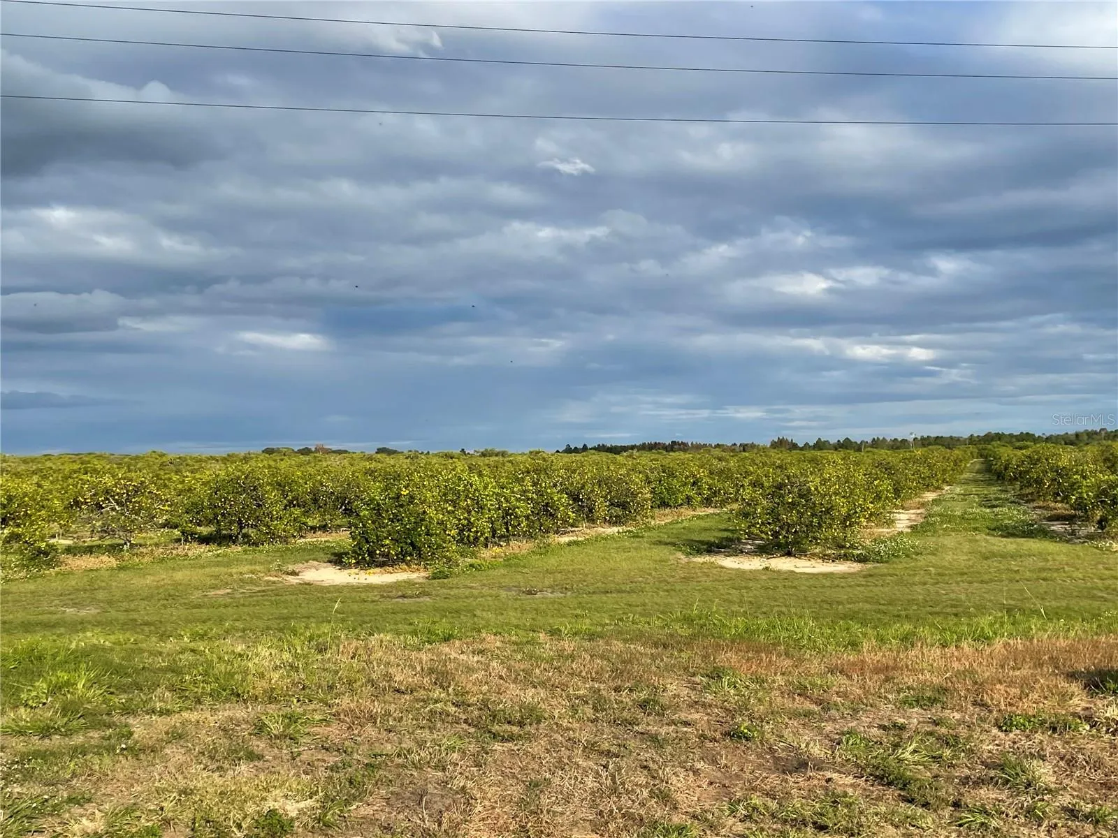 Frostproof, Florida 33843, 0 , 0 ,0,Land,For Sale,LAWRENCE STEWART,0,K4901875