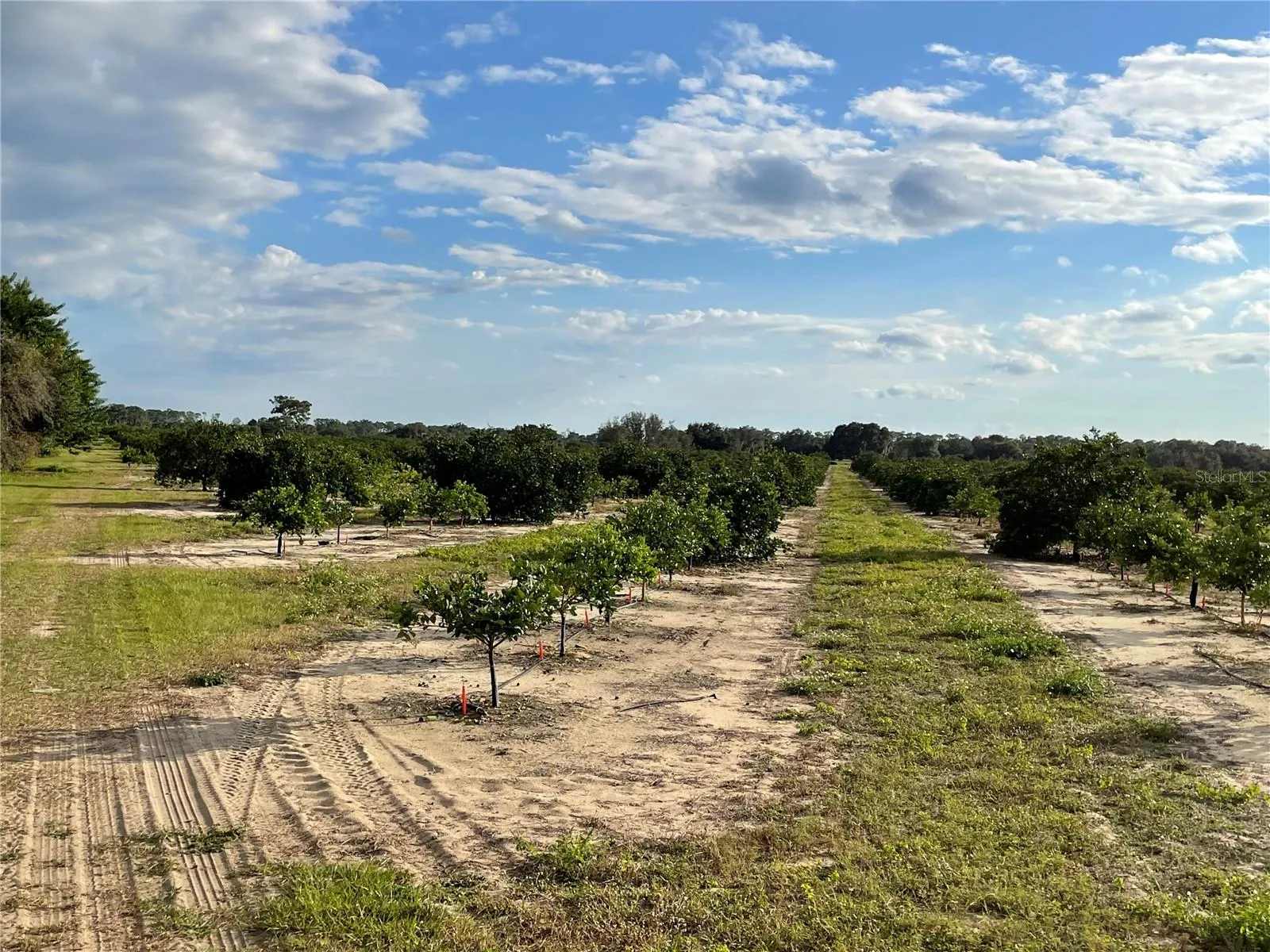 Frostproof, Florida 33843, 0 , 0 ,0,Land,For Sale,LAWRENCE STEWART,0,K4901875