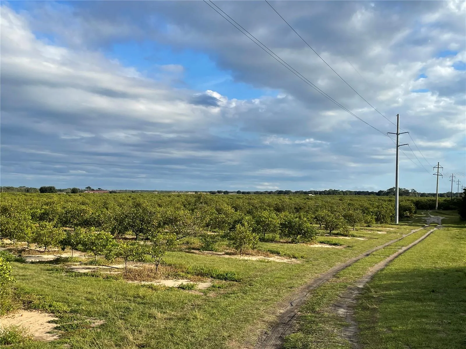 Frostproof, Florida 33843, 0 , 0 ,0,Land,For Sale,LAWRENCE STEWART,0,K4901875
