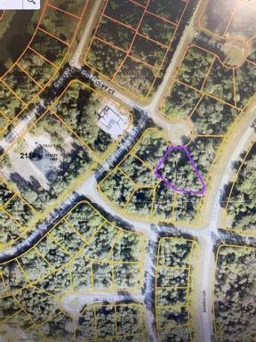 aerial view of the oversized lot on the cul-de-sad