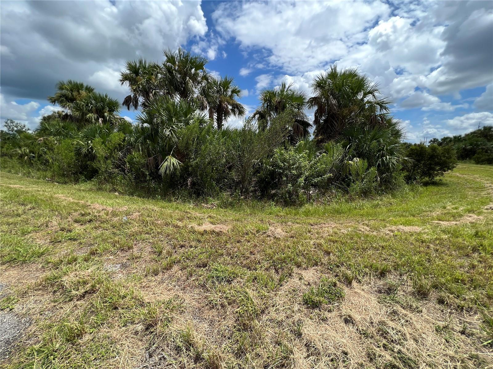North Port, Florida 34288, 0 , 0 ,0,Land,For Sale,DEER PL,0,U8173979