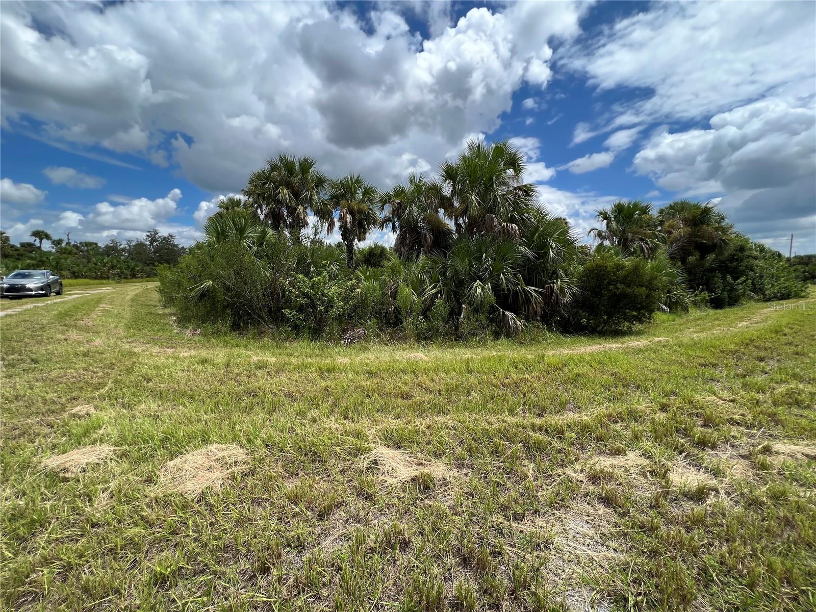 North Port, Florida 34288, 0 , 0 ,0,Land,For Sale,DEER PL,0,U8173979