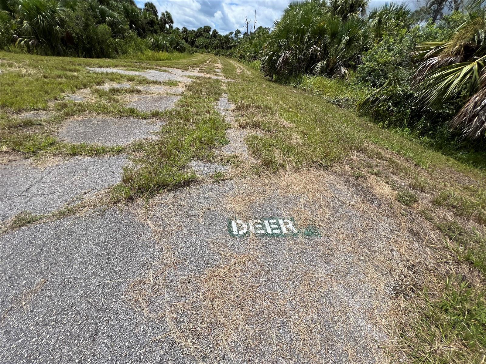 North Port, Florida 34288, 0 , 0 ,0,Land,For Sale,DEER PL,0,U8173979