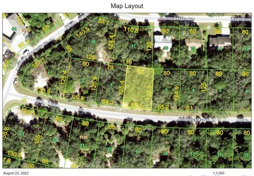CENTRALLY LOCATED! ELECTRIC NEARBY! NEED WELL AND SEPTIC SAVING YOU $$$! NO FLOOD INS REQUIRED!