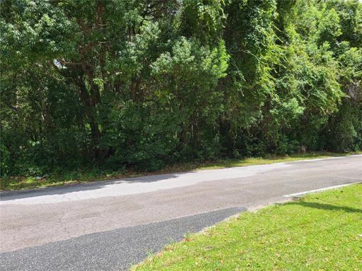 wooded 2 acres with 160 ft of road frontage