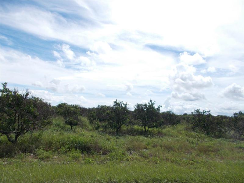 5 ACRES EACH W/WELL & ELECTRIC