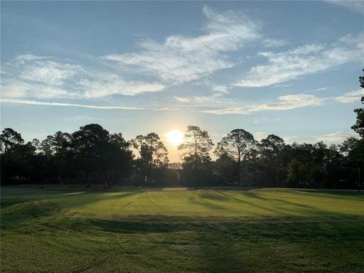 Golf Course Picture