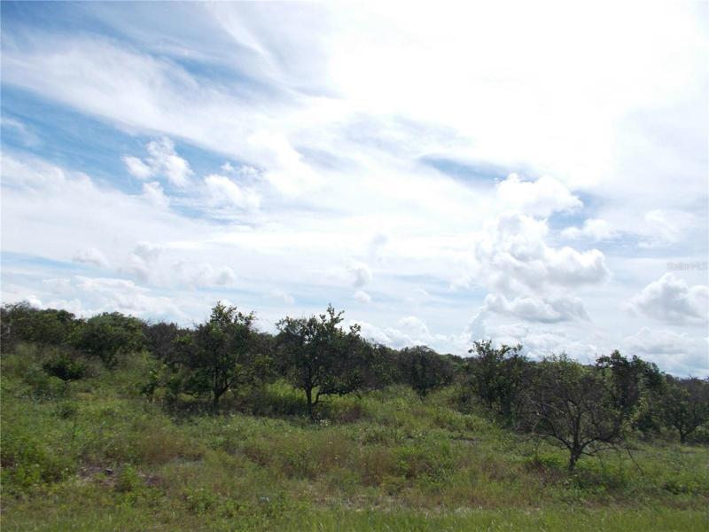 Grove