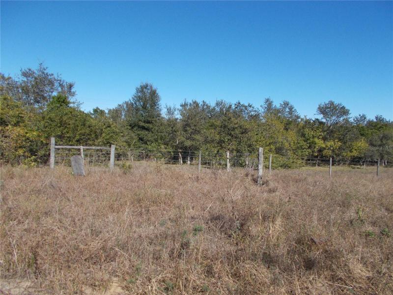 Field next to the easement road