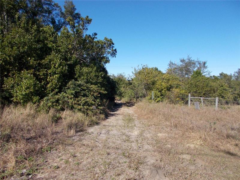This is the lane go thru the tree area you'll see a Duke Energy pole up ahead look to the right you see Citrustrees this is the grove land 2/ 5-acre parcels together with water irrigation, and electric supplied.  is the 10 acres both parcels have 5 acres with each water irrigation