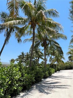 Street at the beach 