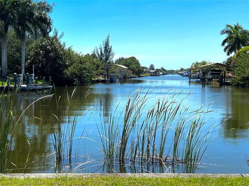 Canal / Florida nature 