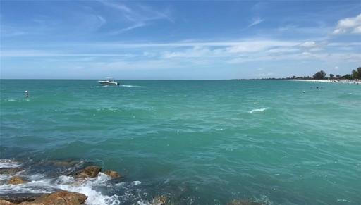 Beach /Gulf of Mexico