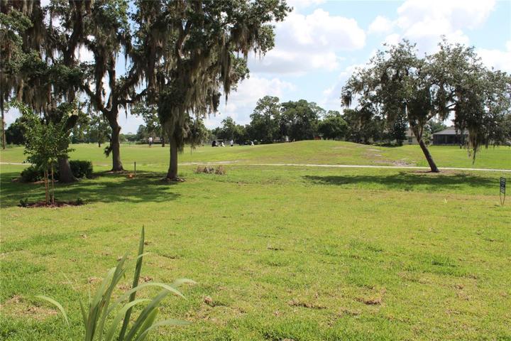 Looking towards the green