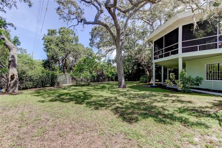 Fenced in Backyard